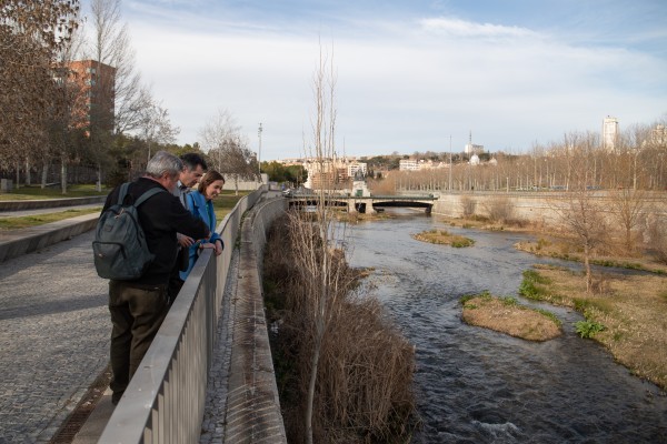 Elche estudia modelos de restauración como el Manzanares para el río Vinalopó
