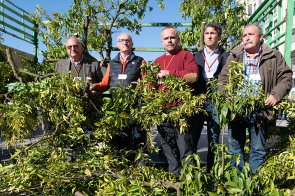 Las organizaciones profesionales agrarias lanzan este viernes un SOS por el campo valenciano
