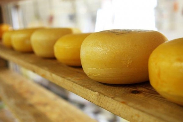 Los 5 lugares donde comer el mejor queso en Valencia
