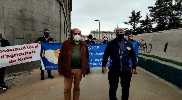 Las asociaciones independientes de agricultores tirarán este jueves naranjas frente a Les Corts