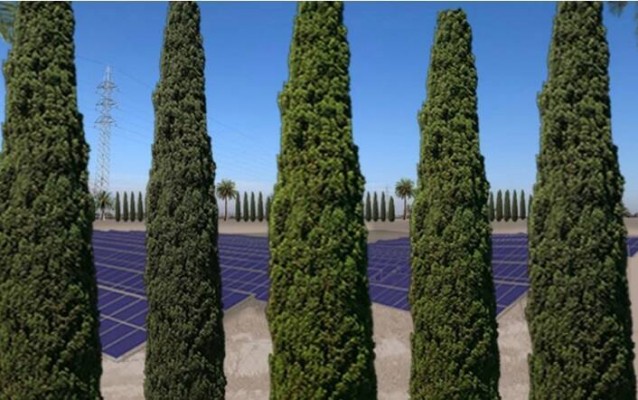 El parque solar de Asprella en Elche de 500.000 metros va quemando etapas: inversión de 13 millones 