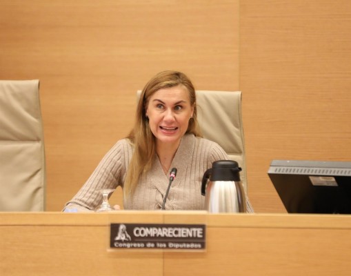Bruselas urge a España más interconexiones para compensar la dependencia con el gas ruso
