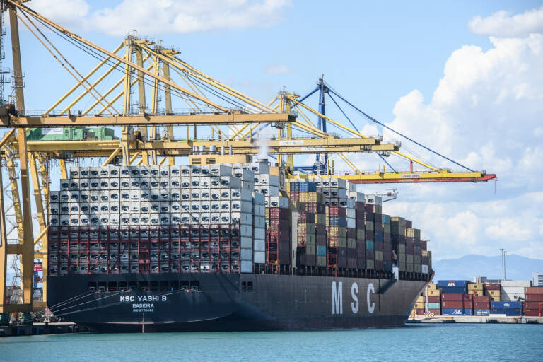 El número de exportadores regulares en España se dispara casi un 60% en la última década