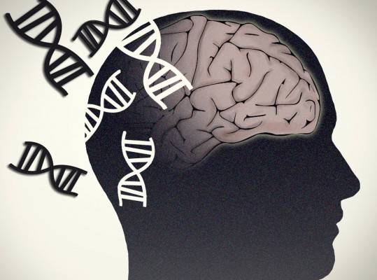 La depresión y la enfermedad de Alzheimer comparten raíces genéticas