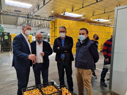Climent anuncia un Plan de Desarrollo de Modelos Cooperativos para la Comunitat Valenciana en ámbitos 