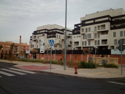 Cinco empresas pugnarán por el contrato de la reposición de aceras en el Palmar
