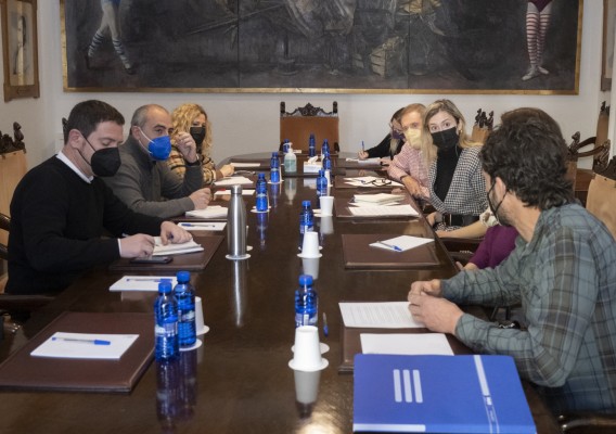 La Diputación reclama al Consell que se ordenen las plantas fotovoltaicas para evitar la Magda