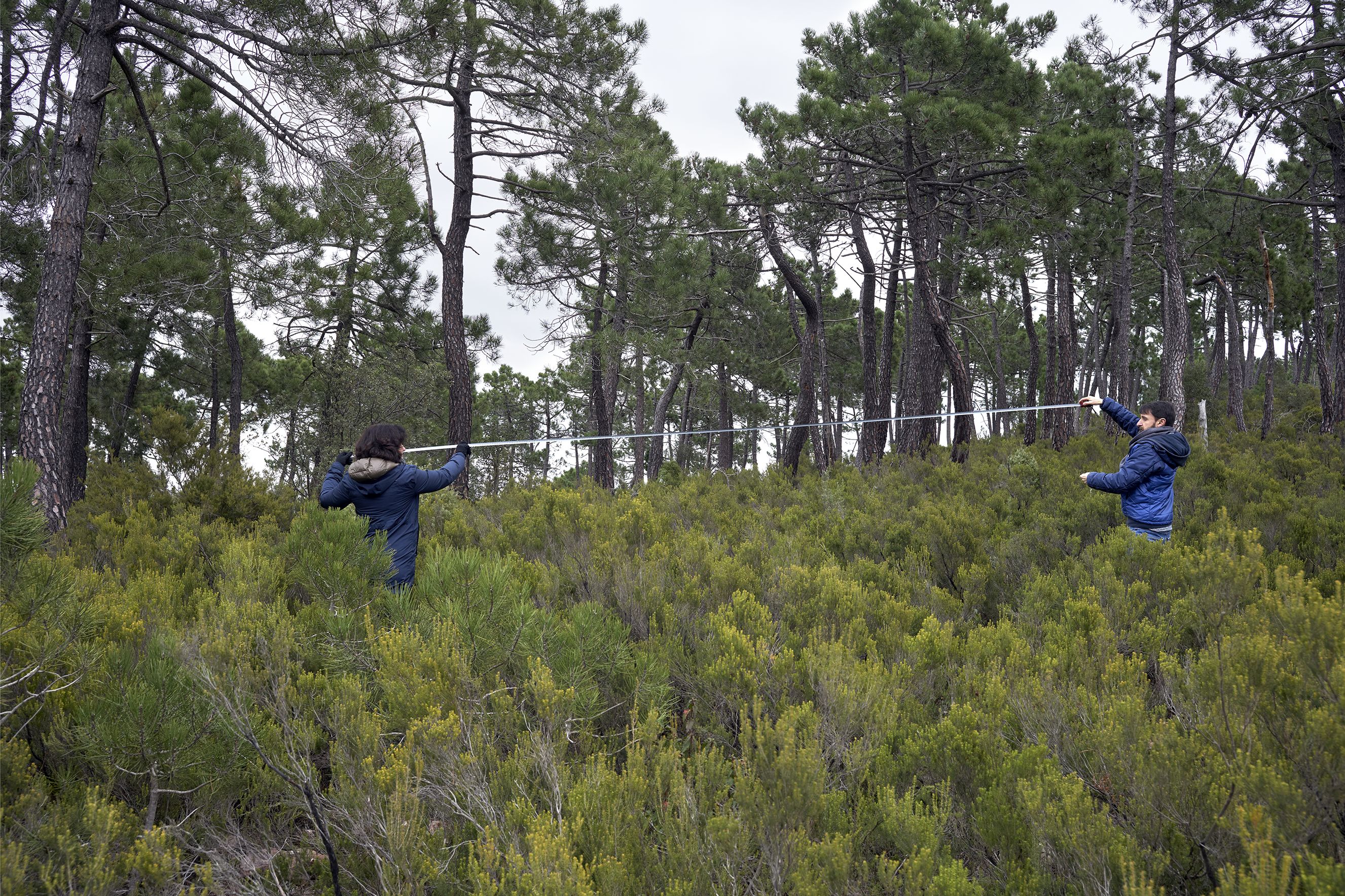 Los fotógrafos Bleda y Rosa en Torralba del Pinar. - 