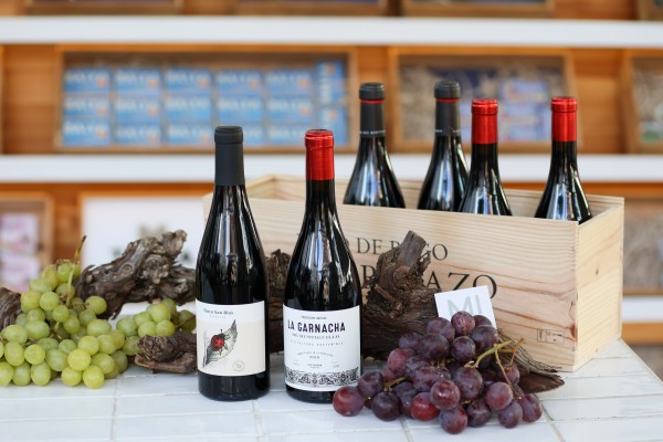 Cómo probar un vino con encanto cada 15 días

