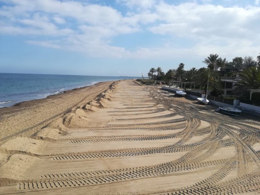 Dénia reparte la arena de sus playas mientras espera los 640.000 metros cúbicos para regenerar Les Deveses 