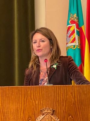 El PP exige a Marco que equipare la Magdalena a Fallas tras rebajar Puig las limitaciones