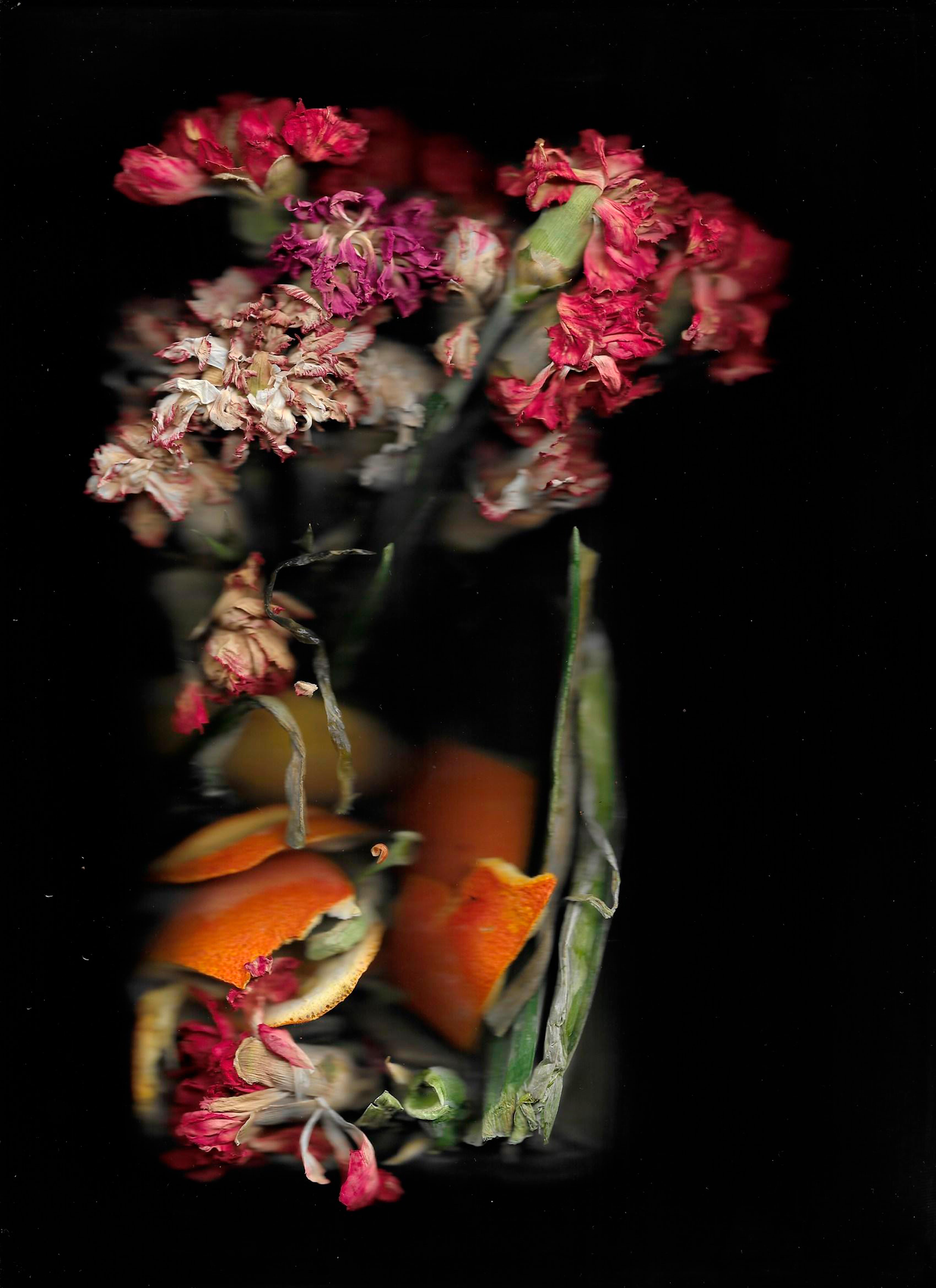 La artista Yasmina Benabdelkrim presenta 'Tierra dorada' en el Jardín Botánico