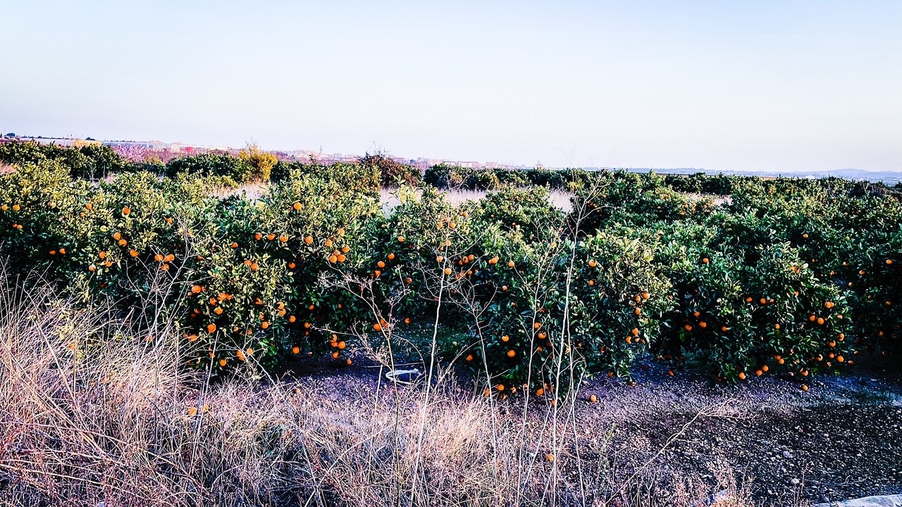 Horizonte. Foto: RL - 