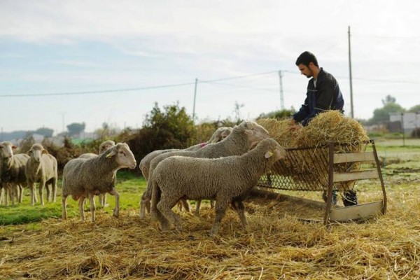 Estimular el emprendimiento, clave para fijar la población joven al medio rural