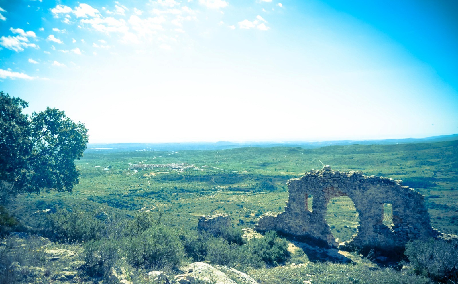 El proyecto Magda, una amenaza al mosaico paisajístico mediterráneo