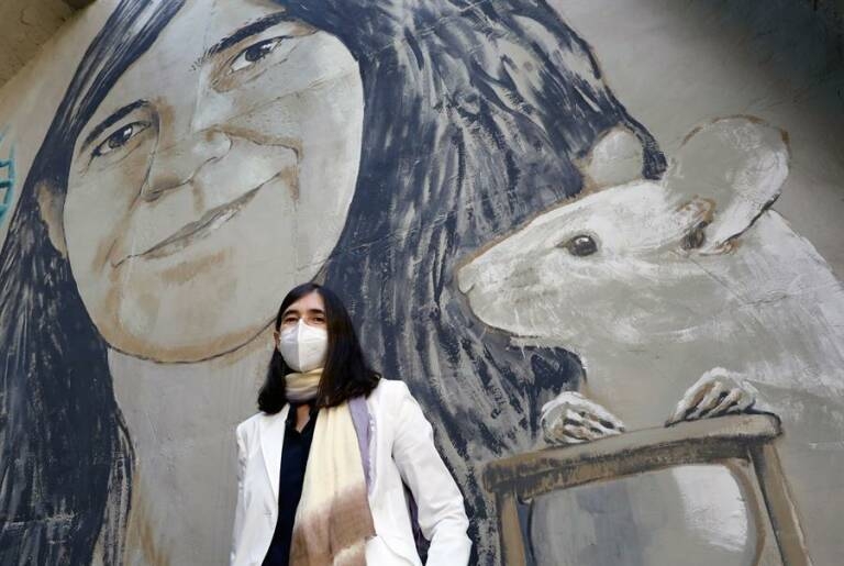 Foto: EFE/J. C. CÁRDENAS - 