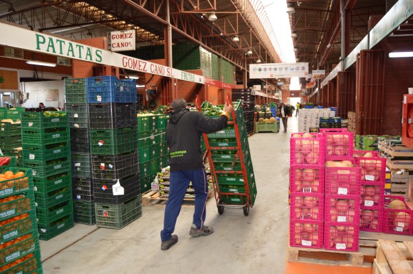 Mercalicante cierra 2021 con 421.000 euros de beneficio y aprueba inversiones por 1,2 millones