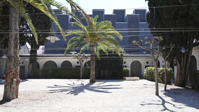 El Conservatori de Dansa lleva al Museu de Belles Arts de Castelló su 'Maquina de caminar'