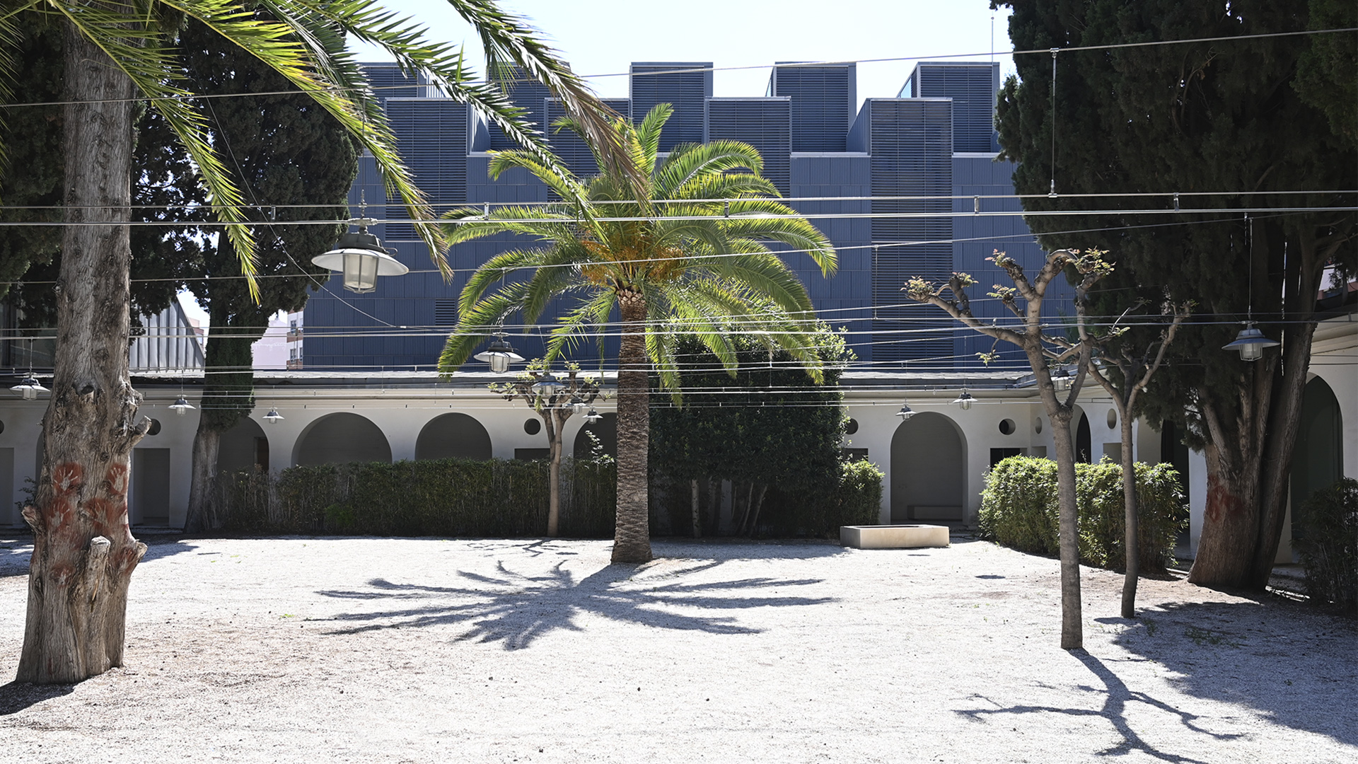 El Conservatori de Dansa lleva al Museu de Belles Arts de Castelló su 'Maquina de caminar'