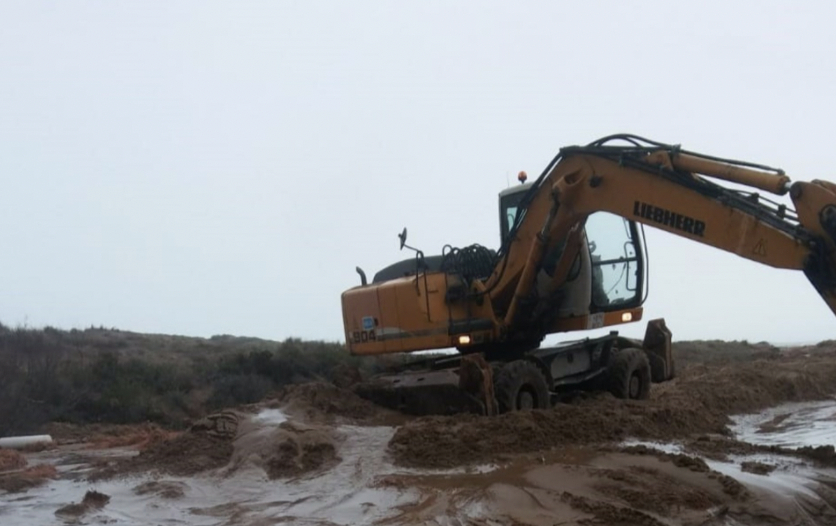 Una máquina trabaja en la Albufera tras el paso de 'Gloria'. Foto: AYUNTAMIENTO DE VALÈNCIA - 