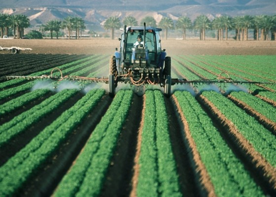 El Gobierno aprueba el Perte agroalimentario, dotado con 1.000 millones 