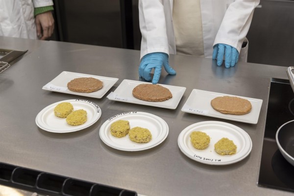 Ainia investiga nuevos análogos cárnicos con proteínas alternativas vegetales