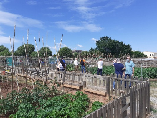 Burriana lanza un curso sobre agricultura ecológica con sesiones prácticas en los huertos de ocio