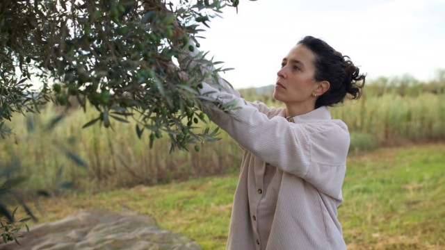Benlloc revitalitza terres abandonades i cuida de l'entorn amb l'agricultura regenerativa