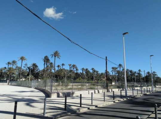 Cultura rechaza las alegaciones de los promotores del geriátrico en el solar de la Hiladora de Elche