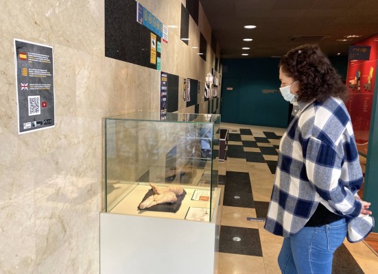 El MUPE expone por primera vez las clavículas de un 'Spinophorosaurus nigerensis'