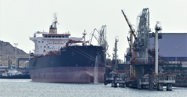 El Puerto mantiene el pulso en un 2021 inestable y se diversifica con el movimiento de nuevos tráficos