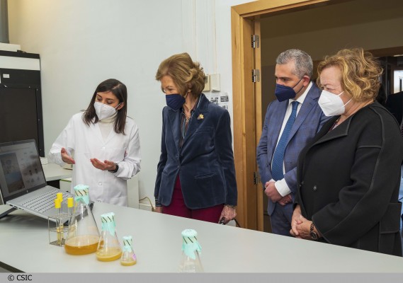 Fundación Reina Sofía y Fundación Primafrio 
impulsan ReCrea, proyecto para la gestión sostenible de plásticos