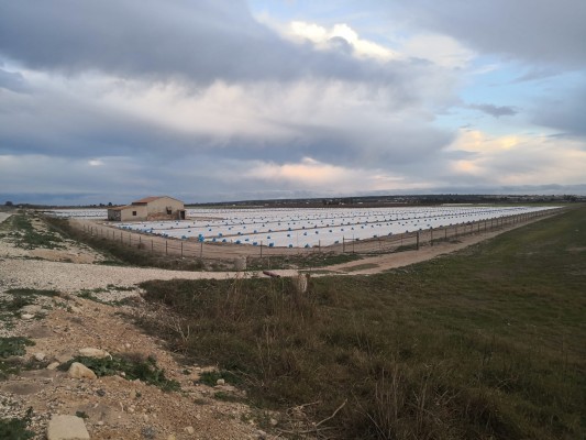 Margalló y otros colectivos organizan una marcha para frenar la agroindustria en El Hondo