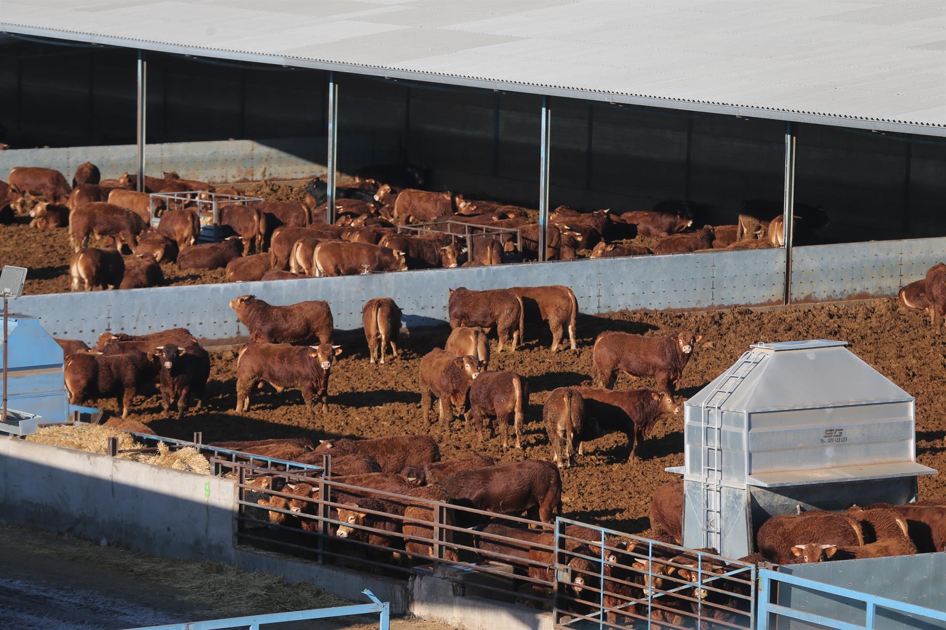 Foto: ISABEL INFANTES/EP - 