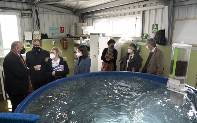 Cincuenta años de investigación científica marina en Cabanes