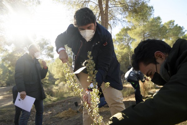 La Región ya cumple con sus objetivos de emisión de dióxido de carbono: logra reducir un 26% sus gases en la atmósfera