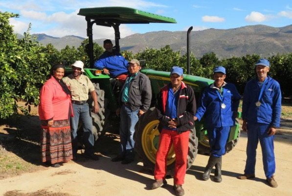 Intereses belgas y holandeses en la naranja amarga sudafricana  