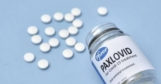 El Gobierno negocia con Pfizer la adquisición de 344.000 tratamiento orales contra la covid-19
