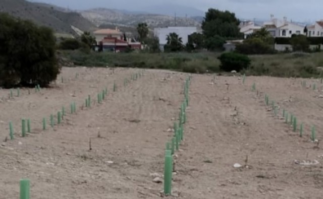 El Campello aprueba por unanimidad crear una partida presupuestaria para el parque 'El Poblet'