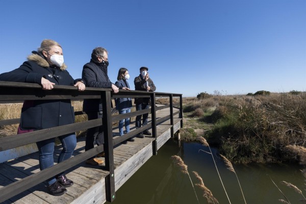 Los humedales de la provincia de Castellón acogen a 41 especies de aves 