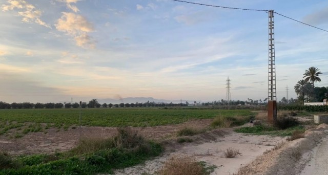 Solaer y Pydesa van a por otra planta fotovoltaica en Asprella en Elche, la cuarta en la pedanía: 2,4 MW