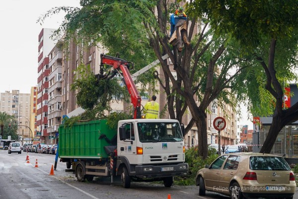 El millonario contrato de parques y jardines se reactiva tras rechazar el TARC los recursos que lo tenían en suspenso
