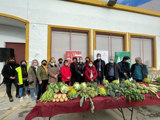 El Camp d'Elx prevé recoger en campaña de hortalizas de invierno una producción de más de 20 millones de kilos