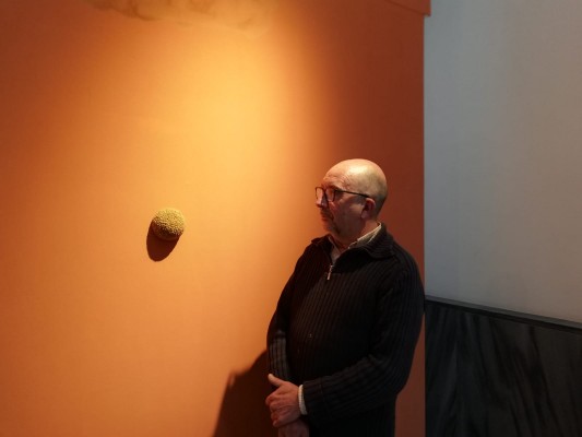 Josep Ginestar invade la sala de la Orden Tercera de Elche en una
intervención integral y minimalista