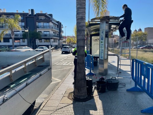 Sant Joan reordena las paradas de autobús en la Rambla de la Libertad