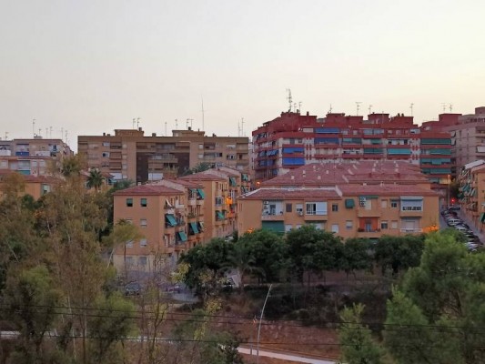 Al bipartito de Elche se le atragantan las últimas licitaciones: concursos desiertos, recurridos o atrasados