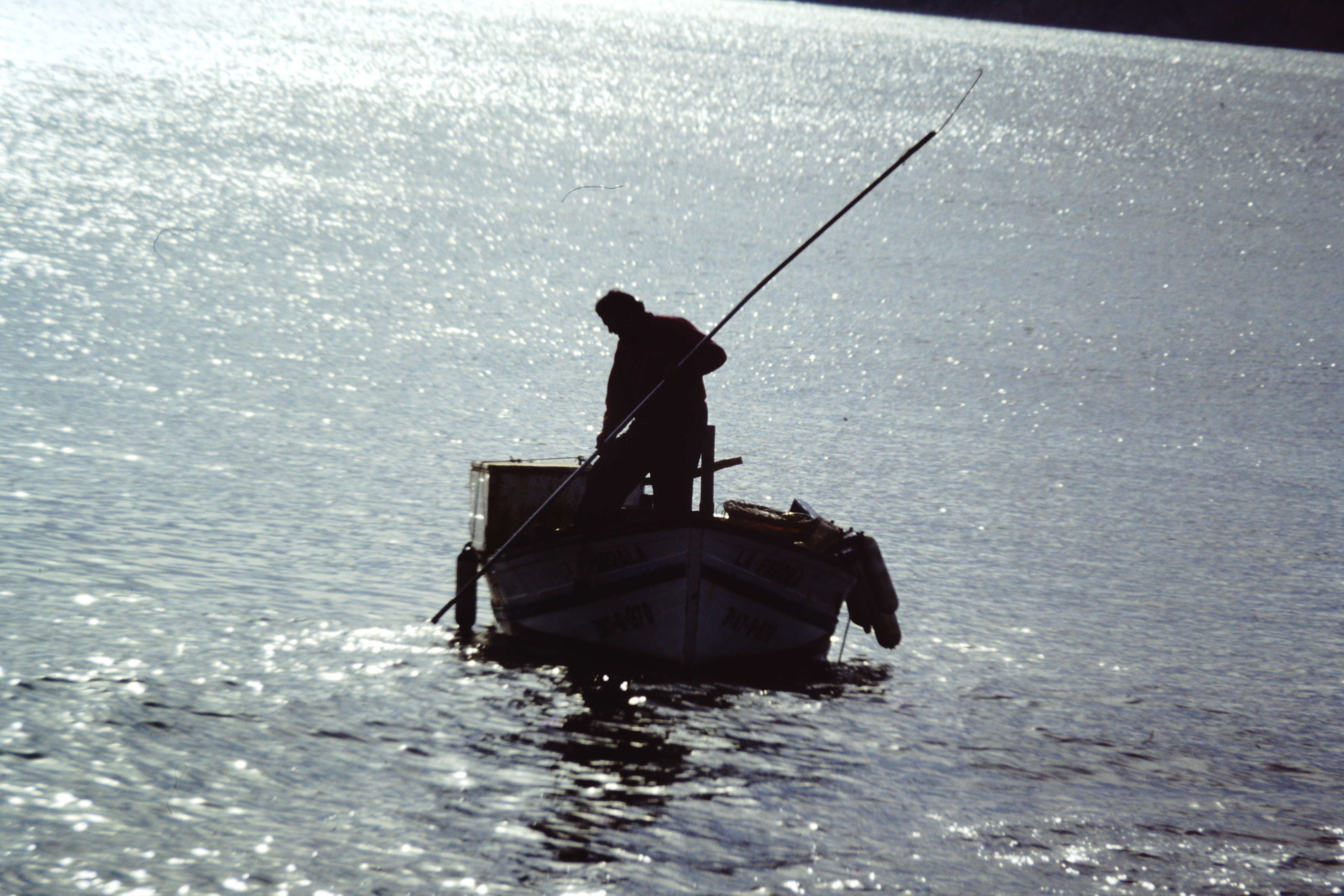 Fundación Rafael Chirbes - 