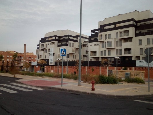 Más de un centenar de licitadores presentan oferta para la renovación de aceras en El Palmar