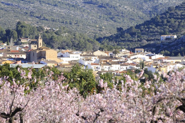 #Feslalí, fer ruta per Alcalalí per descobrir el seus ametlers en flor