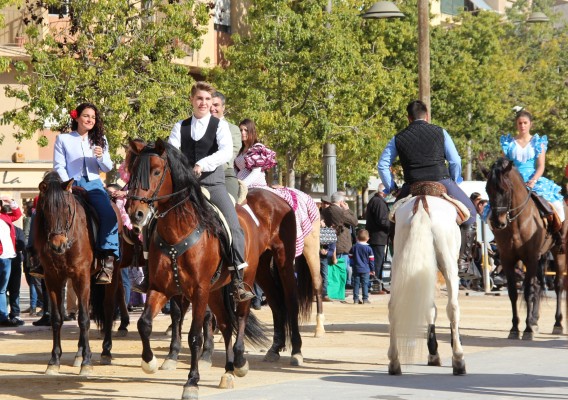 San Vicente celebrará el día del patrón de los animales este domingo